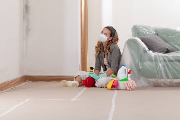 Reliable Mold Cleanup contractor in Benson, AZ by Cheap Mold Removal